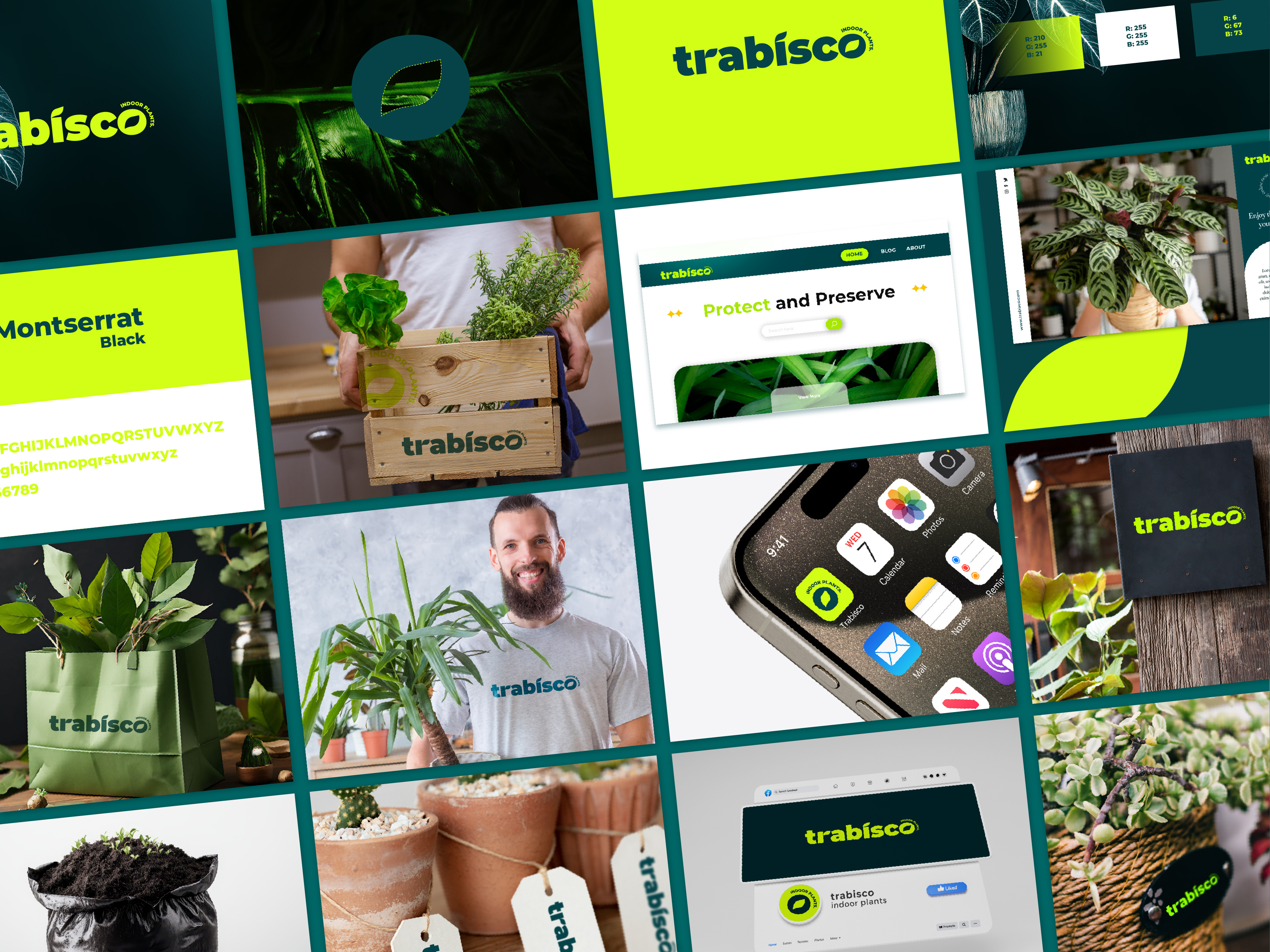 Trabisco - Indoor Plants Branding bold bold typo logo brand identity branding custom typo logo eye catchy identity indoor plants logo leaf logo logotypo modern moren leaf logo nature based branding nature friendly logo plants logo scalable logo timeless logo trabisco wordmark vibrant plants logo visual identity wordmark logo