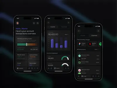 Personal Finance Tracker App app application concept dark dark theme design finance finances financial app interface interface design ui uiux ux
