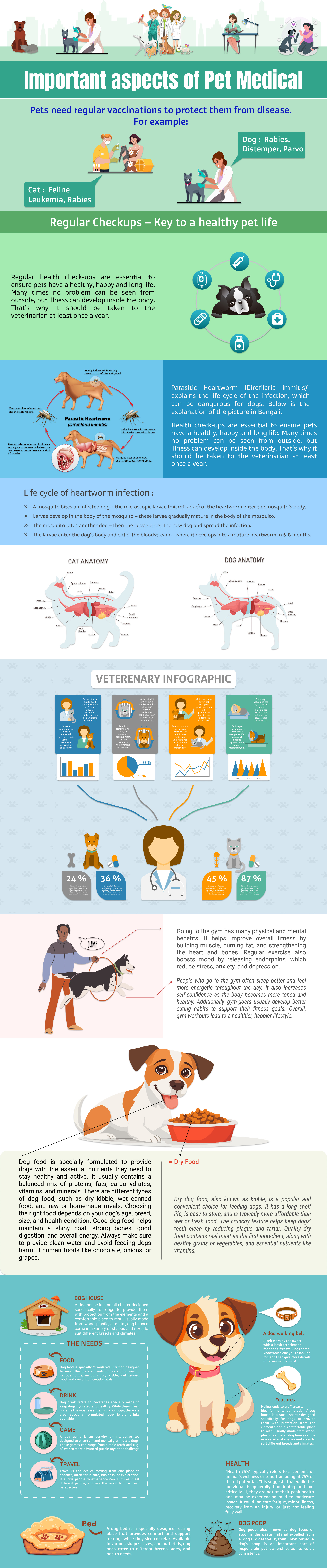 🐶🩺Dog Medical Care – Informative Infographic Design billboard design branding branding design brochure design design dog health dog medical care facebook ad graphic design illustration imagery logo marketing medical infographic minimal logo modern logo pet care design pet infographic vector veterinary design