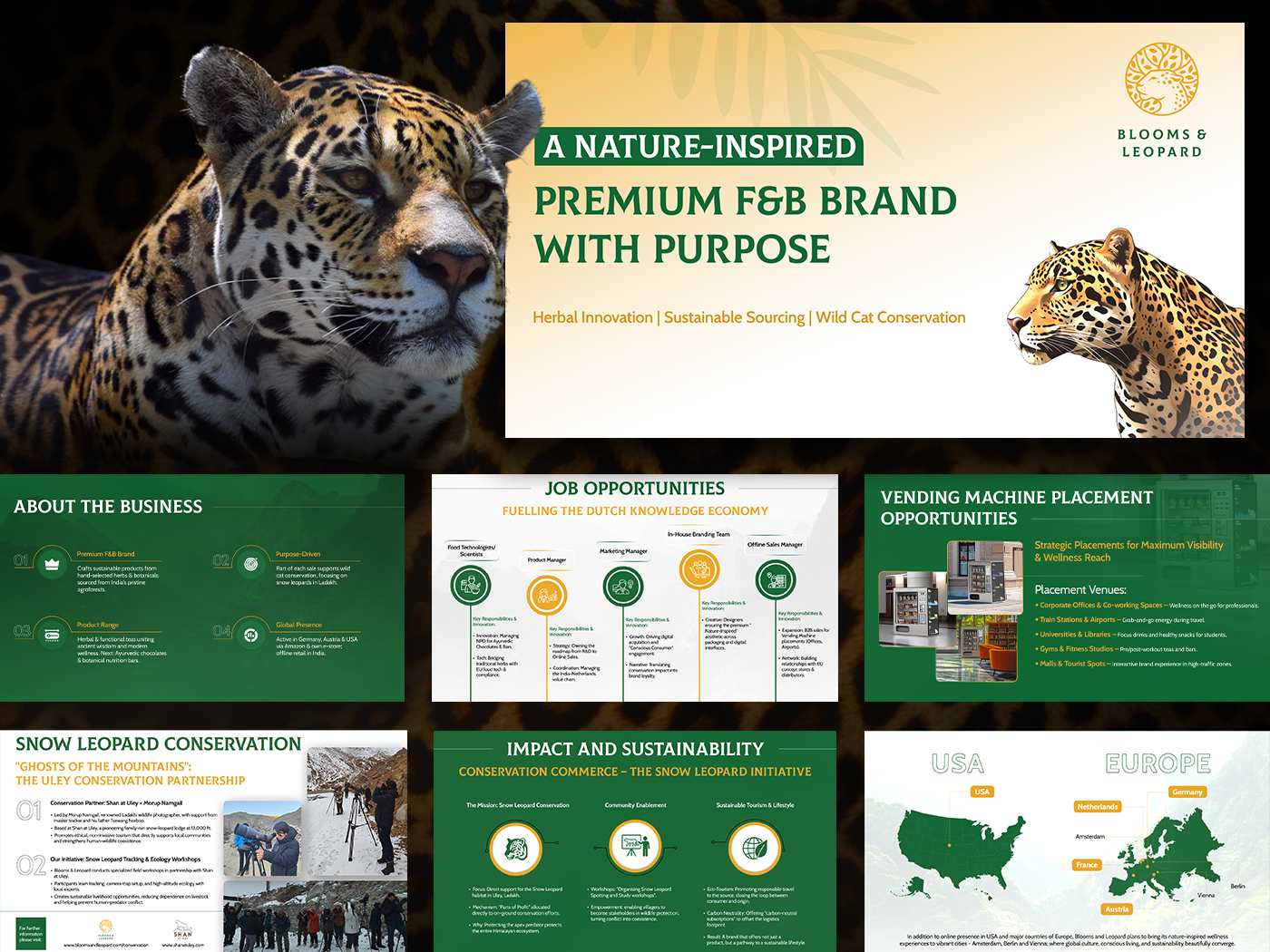 Blooms & Leopard | Brand Deck adobe photoshop animal art animal deck blooms and leopard brand identity brand presentation branding branding deck branding pitch deck creative presentation design graphic design pitch deck pitch deck design pitch deck presentation powerpoint presentation presentation design ui visual identity visualization