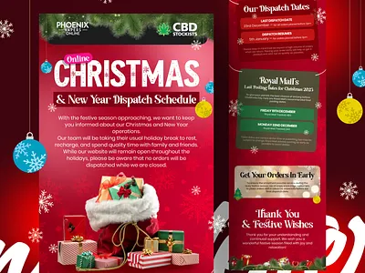 Christmas Newsletters advertisement branding christmas newsletters digital media graphic design newsletter visual designs