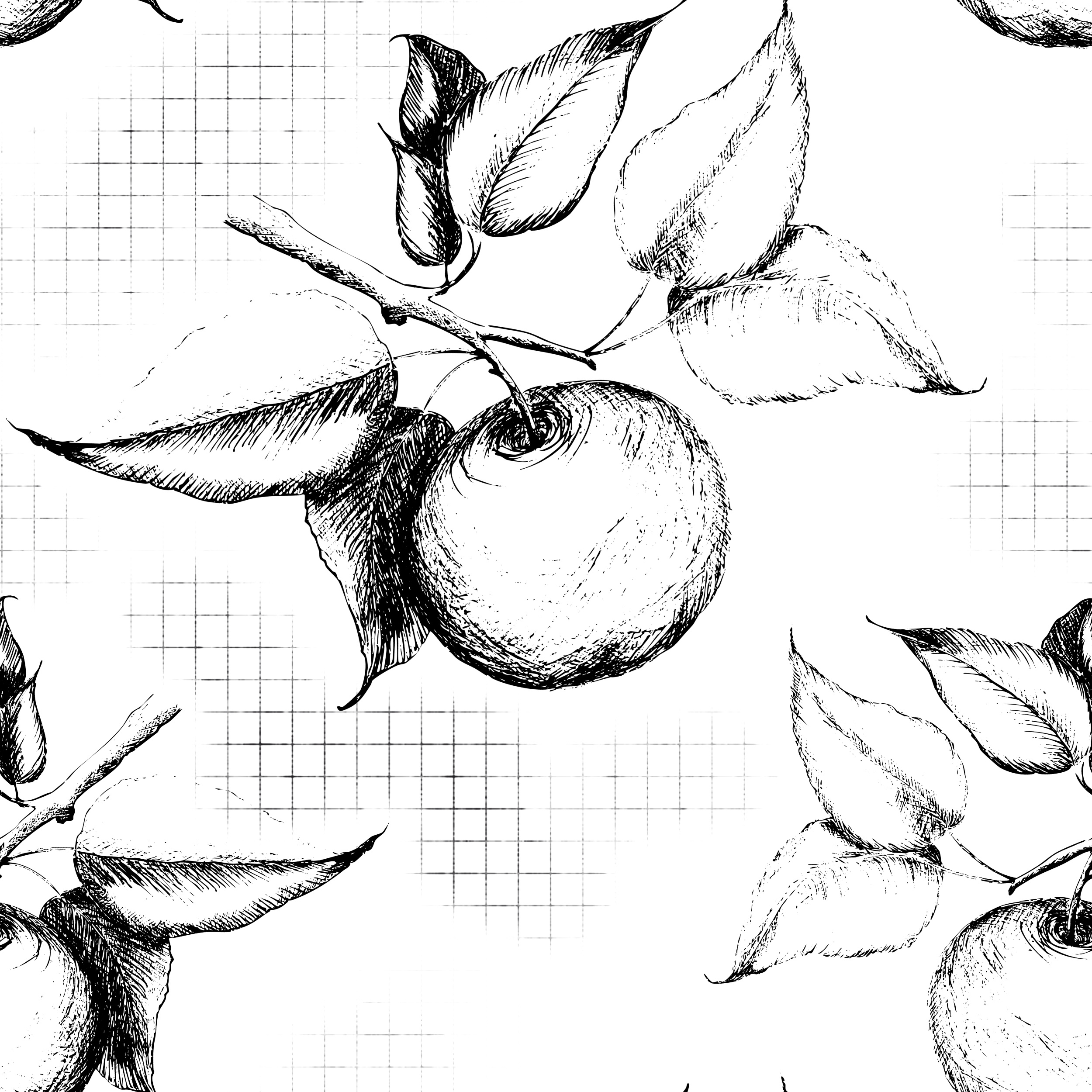 Example of Detailed Hand Drawn Graphic Illustration