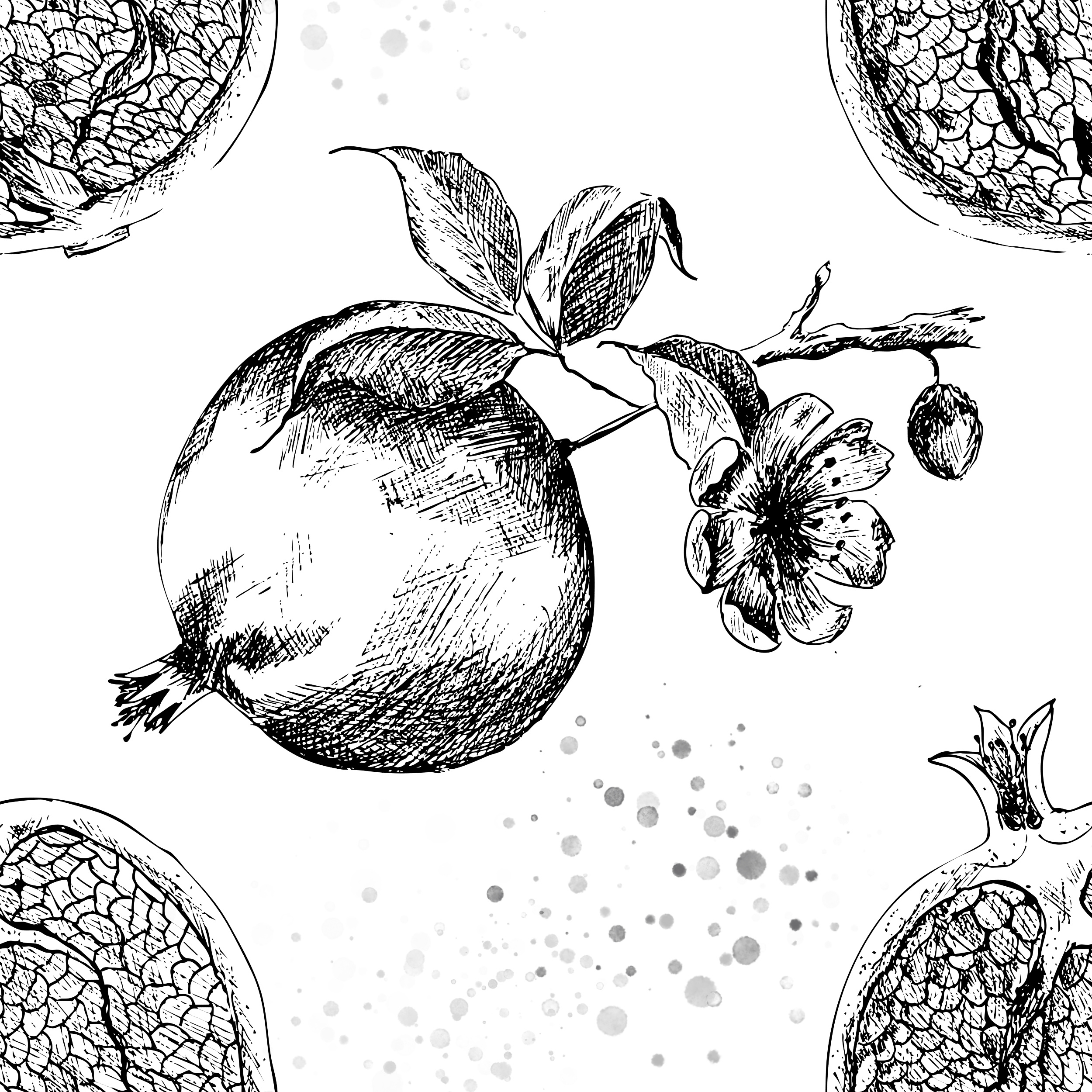 Example of Detailed Hand Drawn Graphic Illustration