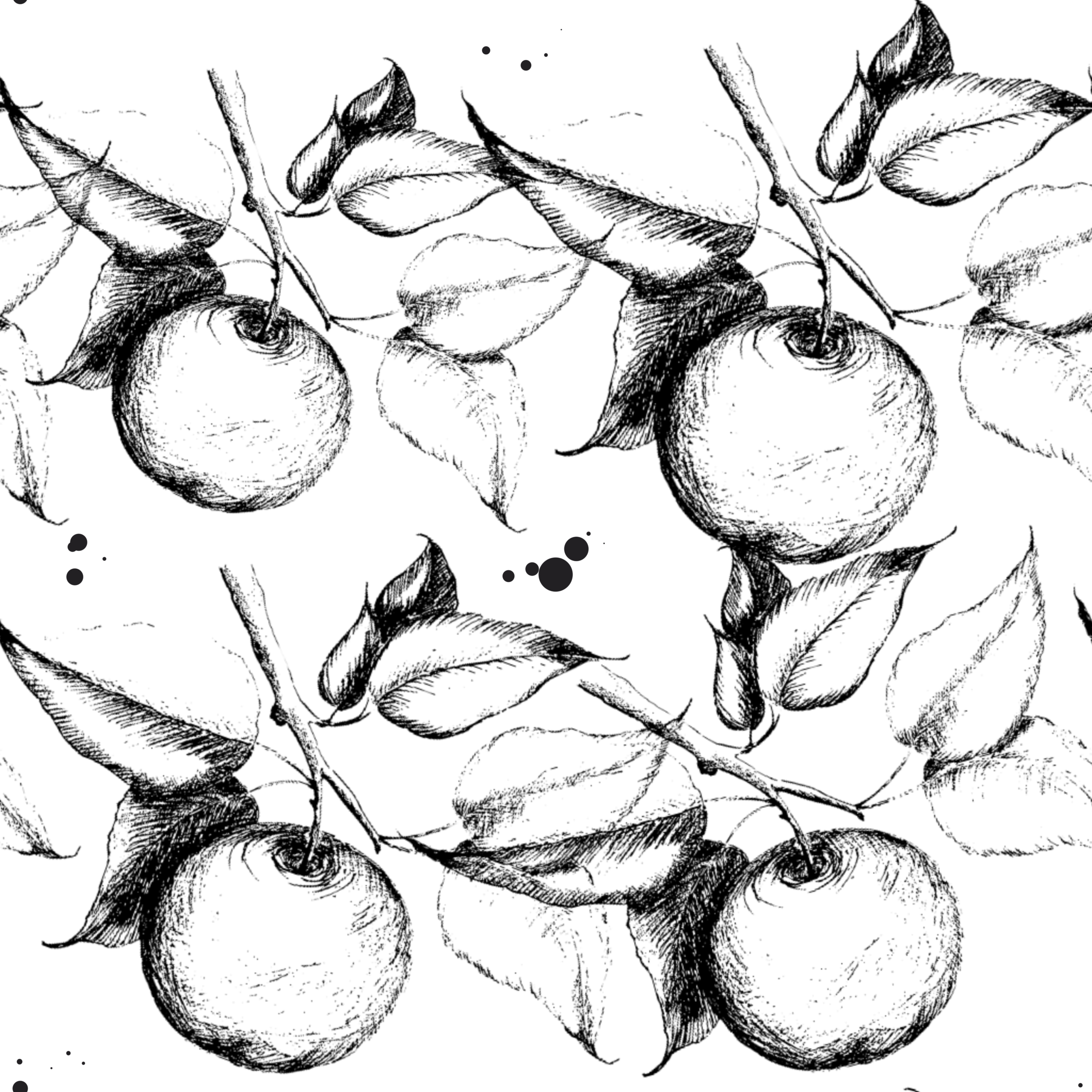 Example of Detailed Hand Drawn Graphic Illustration