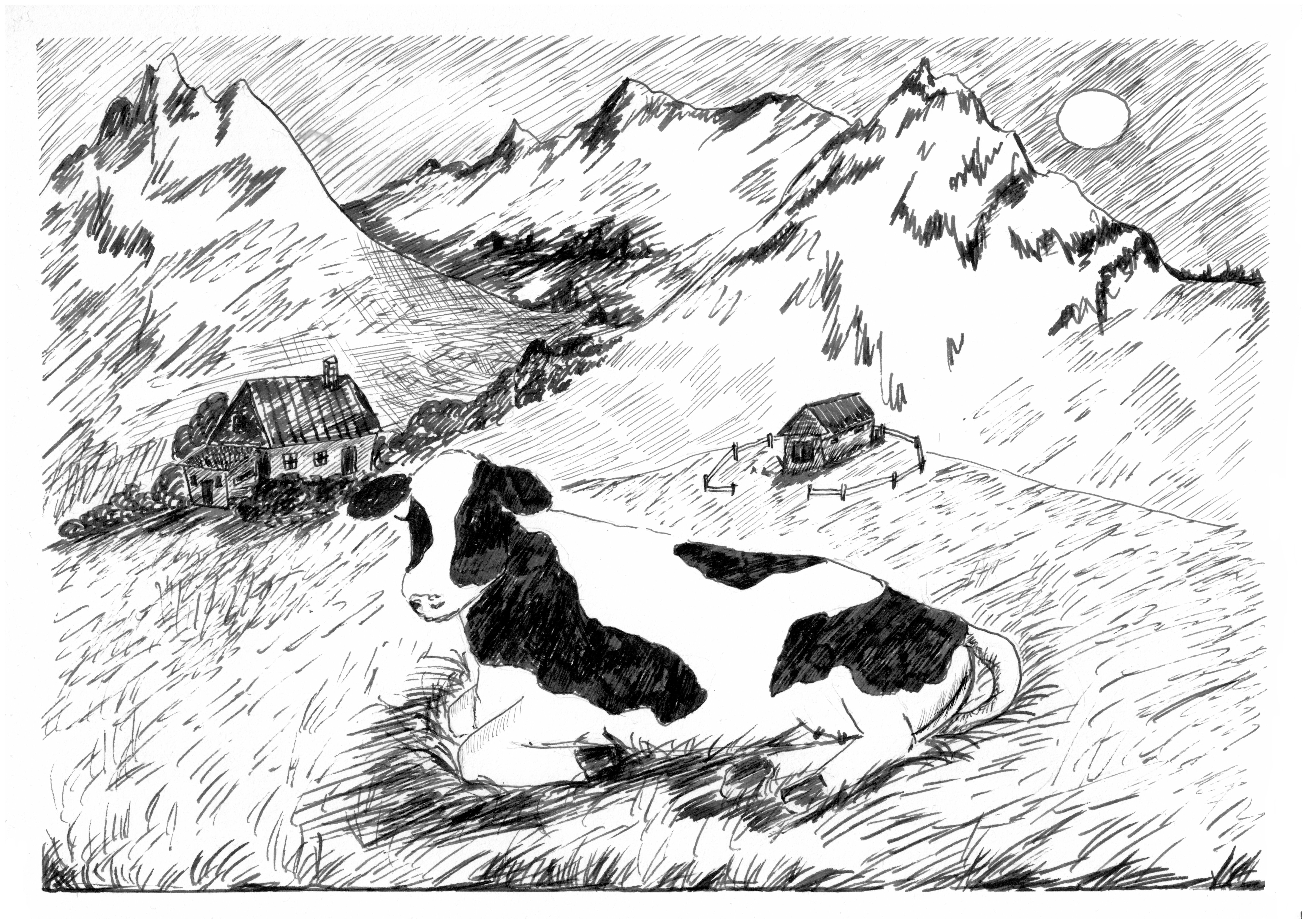 Example of Detailed Hand Drawn Graphic Illustration