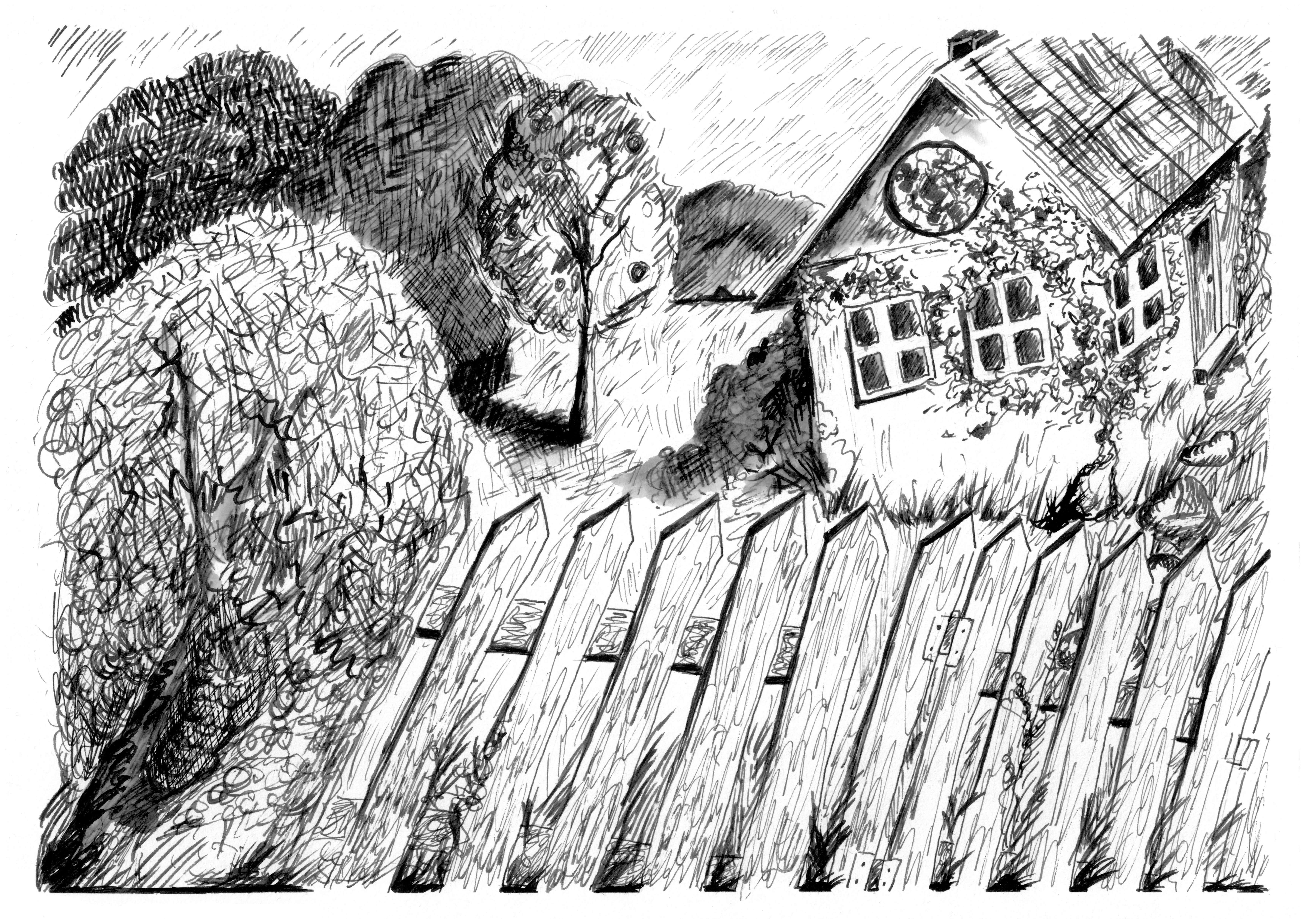 Example of Detailed Hand Drawn Graphic Illustration