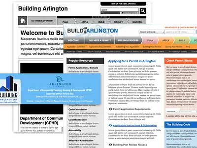 Build Arlington (2010) government