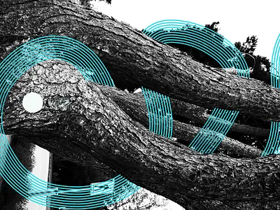 Principles in practice branding design graphic design illustration minimal vector