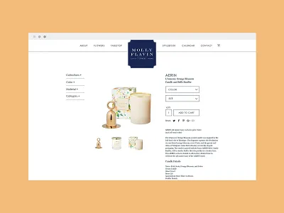 Web Design - Details that Delight brand identity branding creative design design graphic design ui ux