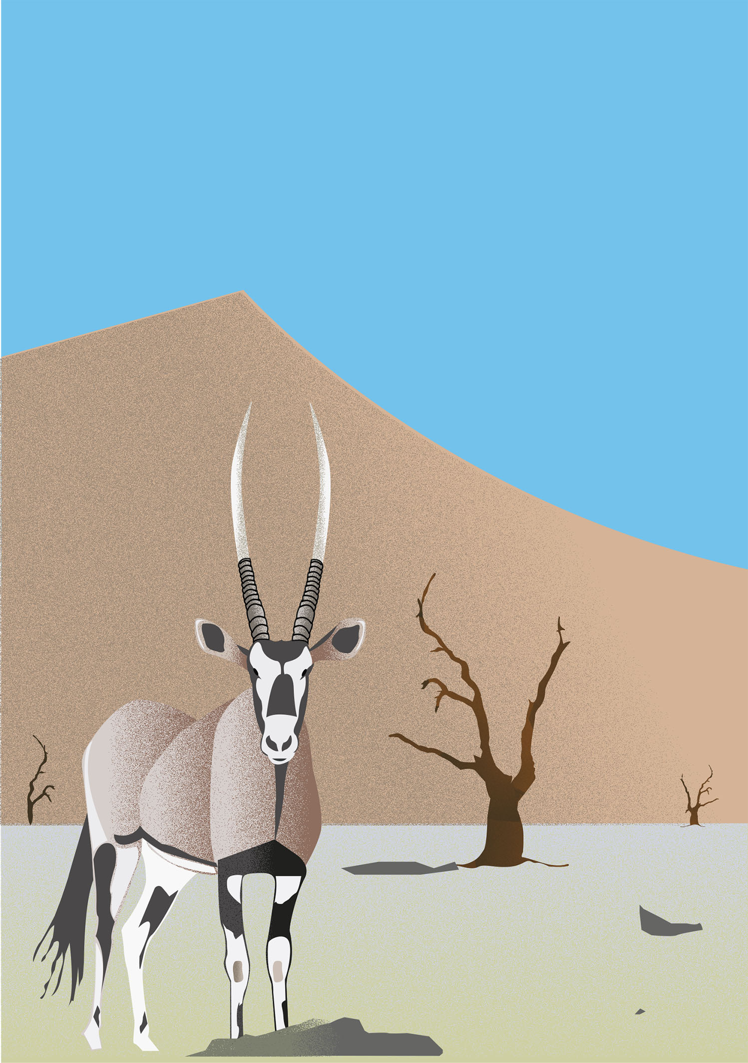 sossusvlei gemsbok design illustration vector