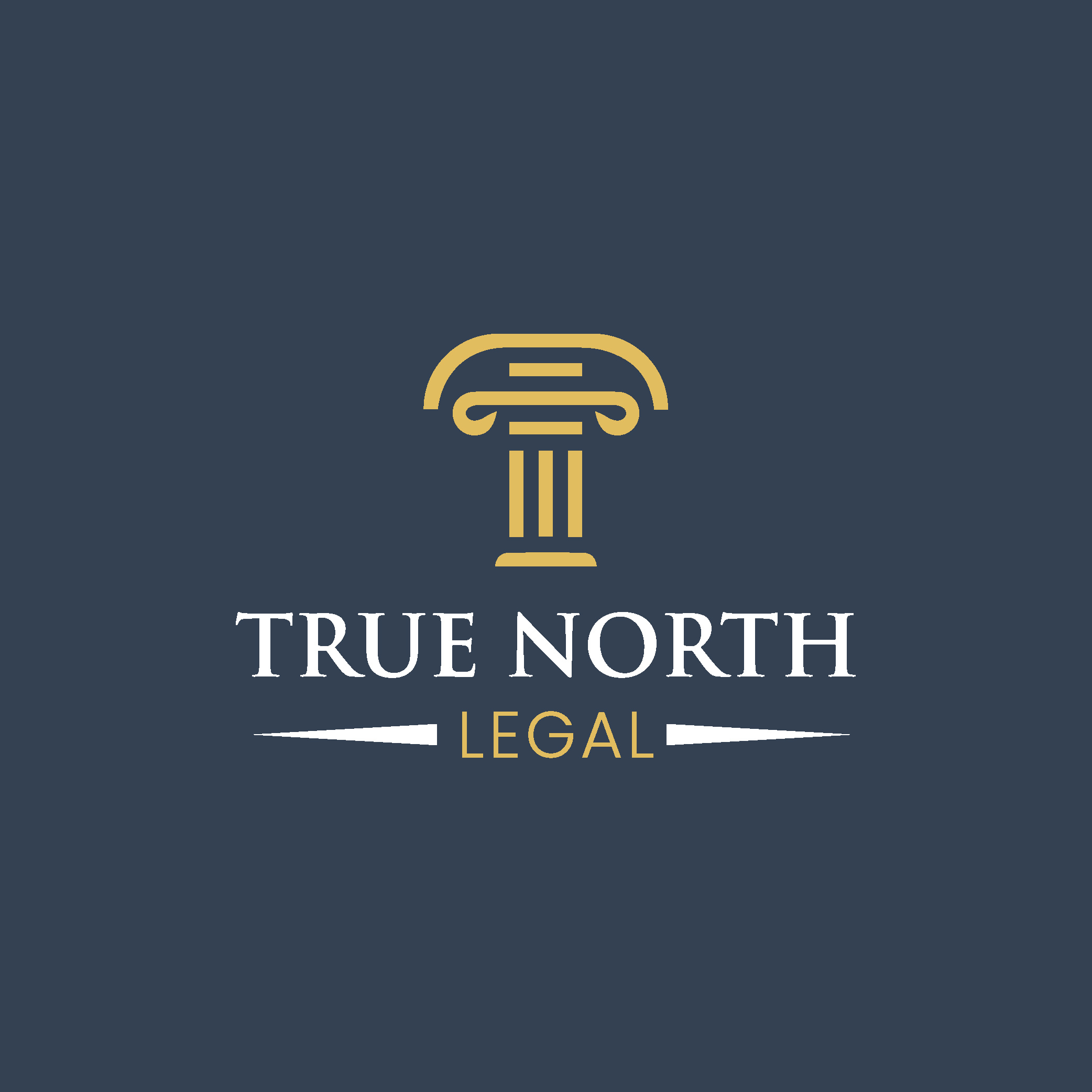 Example of Creative & Elegant Logo Design Services 