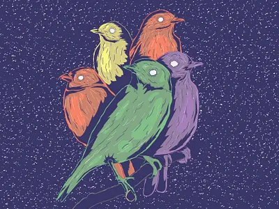 Birds Illustration animal art background bird birds character creative design digital doodle drawing illustration pet vector