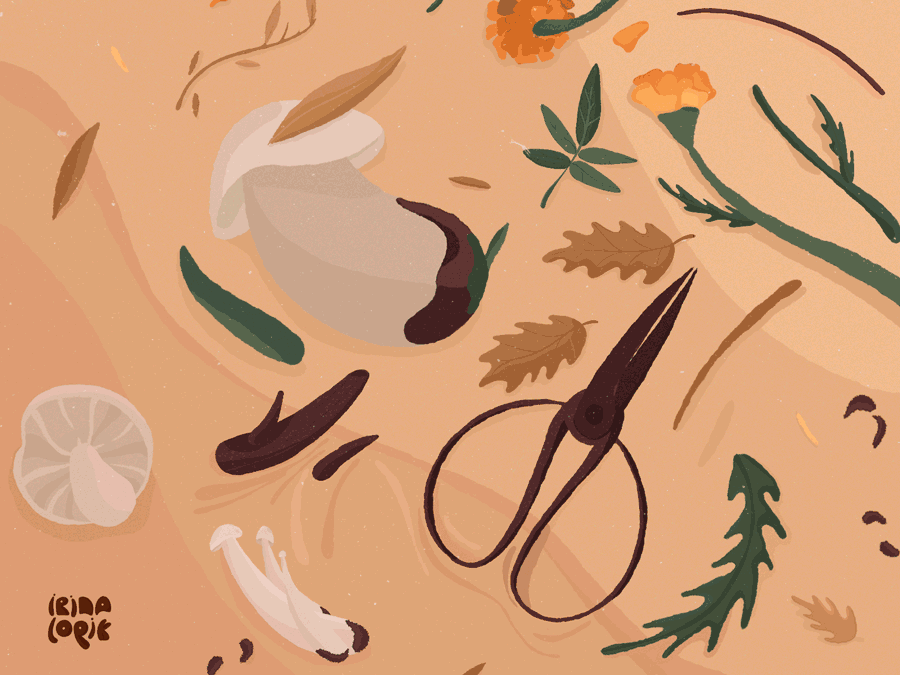 Forest Souvenirs 🍄‍🟫🍂 2d amber animation art autumn botanical cozy fall flat lay food illustration garden gif harvest illustration motion graphics mushroom nature slow life warm warm palette