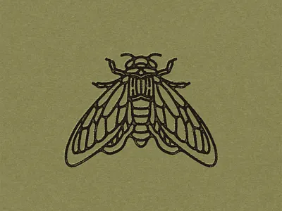 Cicada Illustration brand identity branding butterfly cicada illustration moth procreate retro