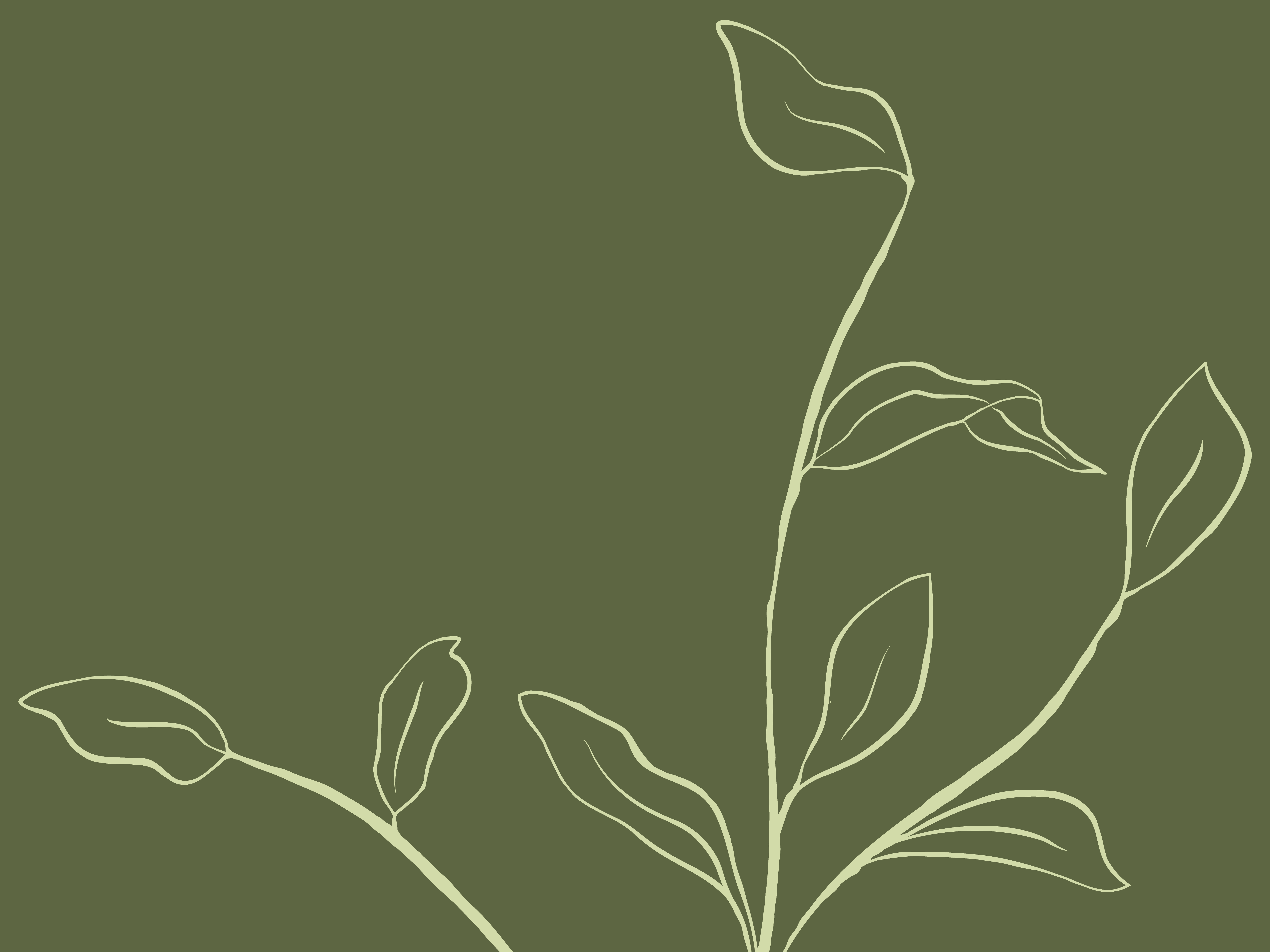 Interior Design Botanical Asset