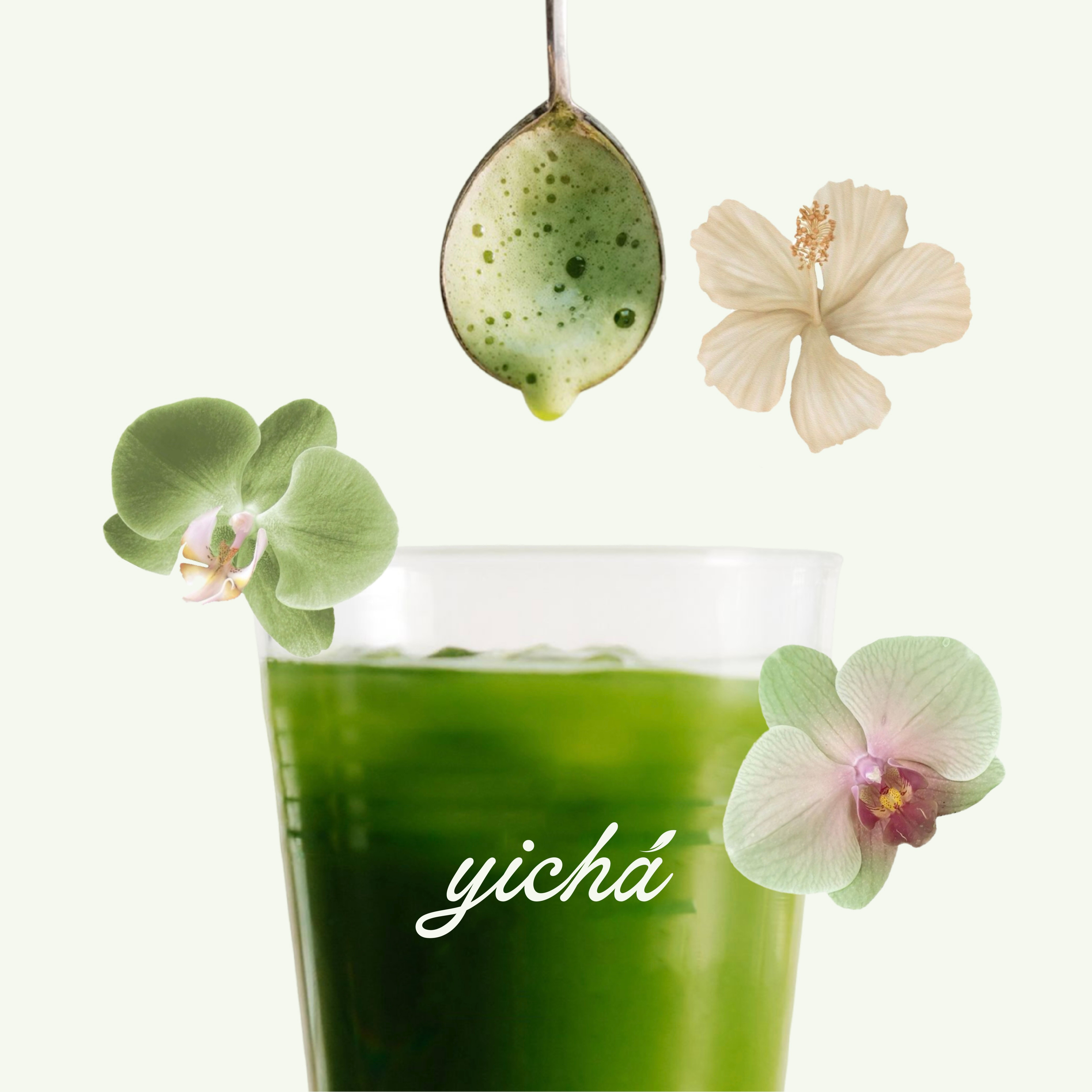 YICHÁ BRAND IDENTITY branding design graphic design illustration logo logo design