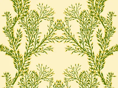 Floral Symmetry. Seamless pattern fabric fashion floral flower pattern seamless pattern textile