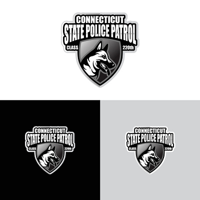 An eye-catching logo for police patrol branding design graphic design illustration logo typography vector