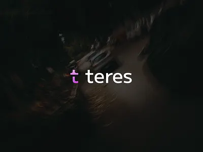 Teres logotype brand branding design graphic design icon illustration logo typography vector