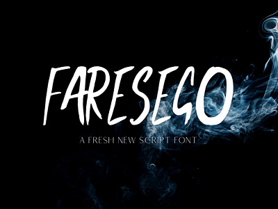 Faresego Script Font handmade font logotype script font