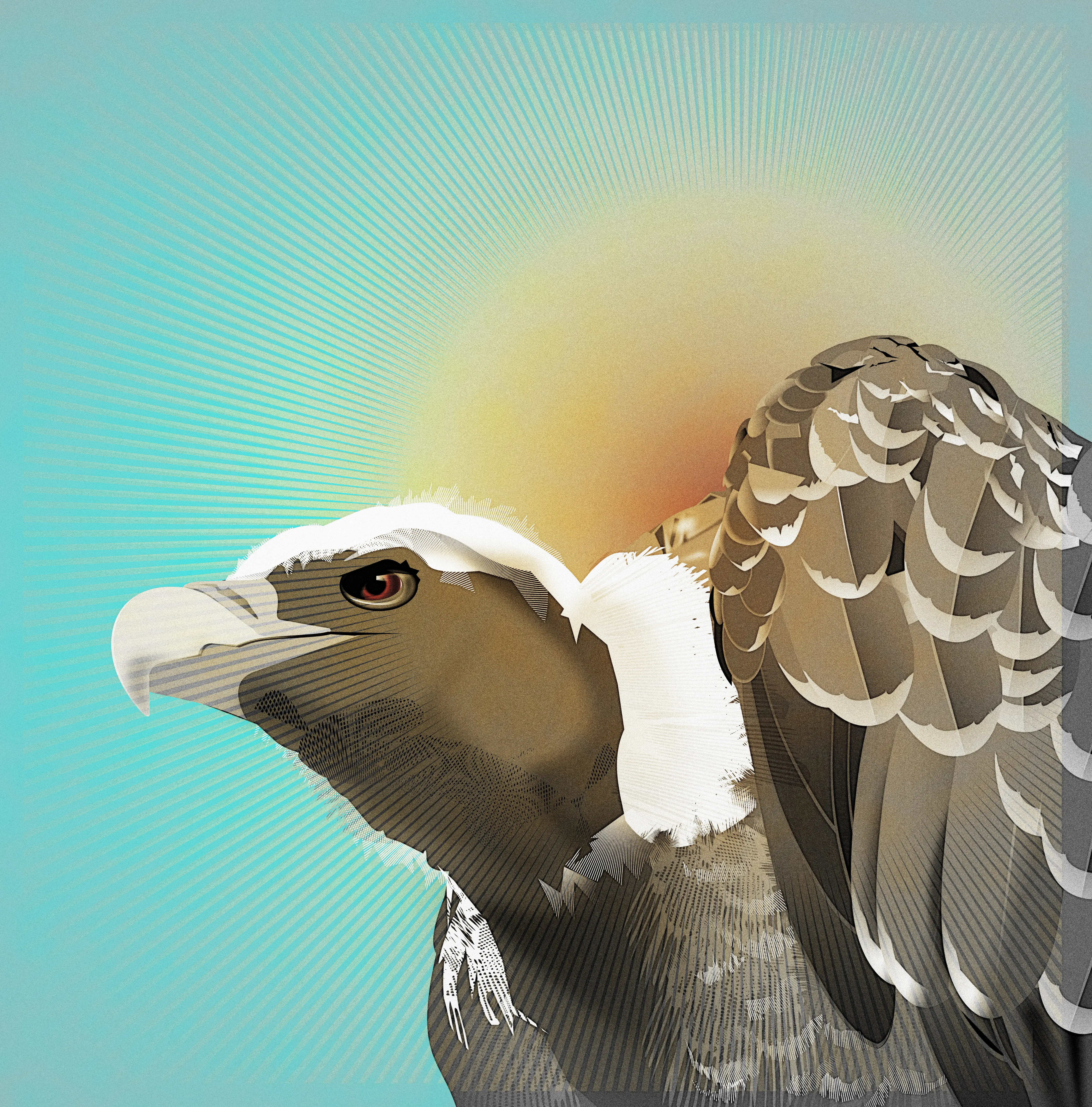 dang that feather :: more moire doodle feather illustration imperfect noise shunte88 vector vulture