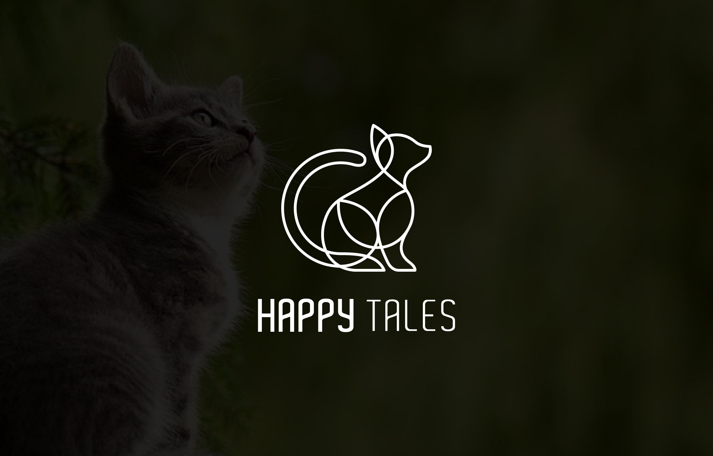 Example of Professional Logo Design (Single) 