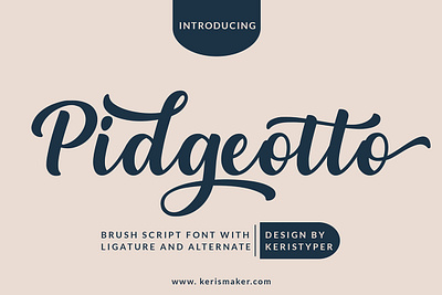 Pidgeotto branding brush clean design elegant handwritten logo retro script signature vintage