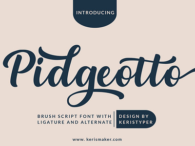 Pidgeotto branding brush clean design elegant handwritten logo retro script signature vintage