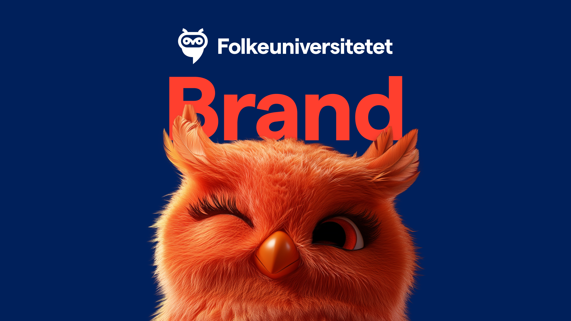 Folkeuniversitetet branding graphic design logo webdesign