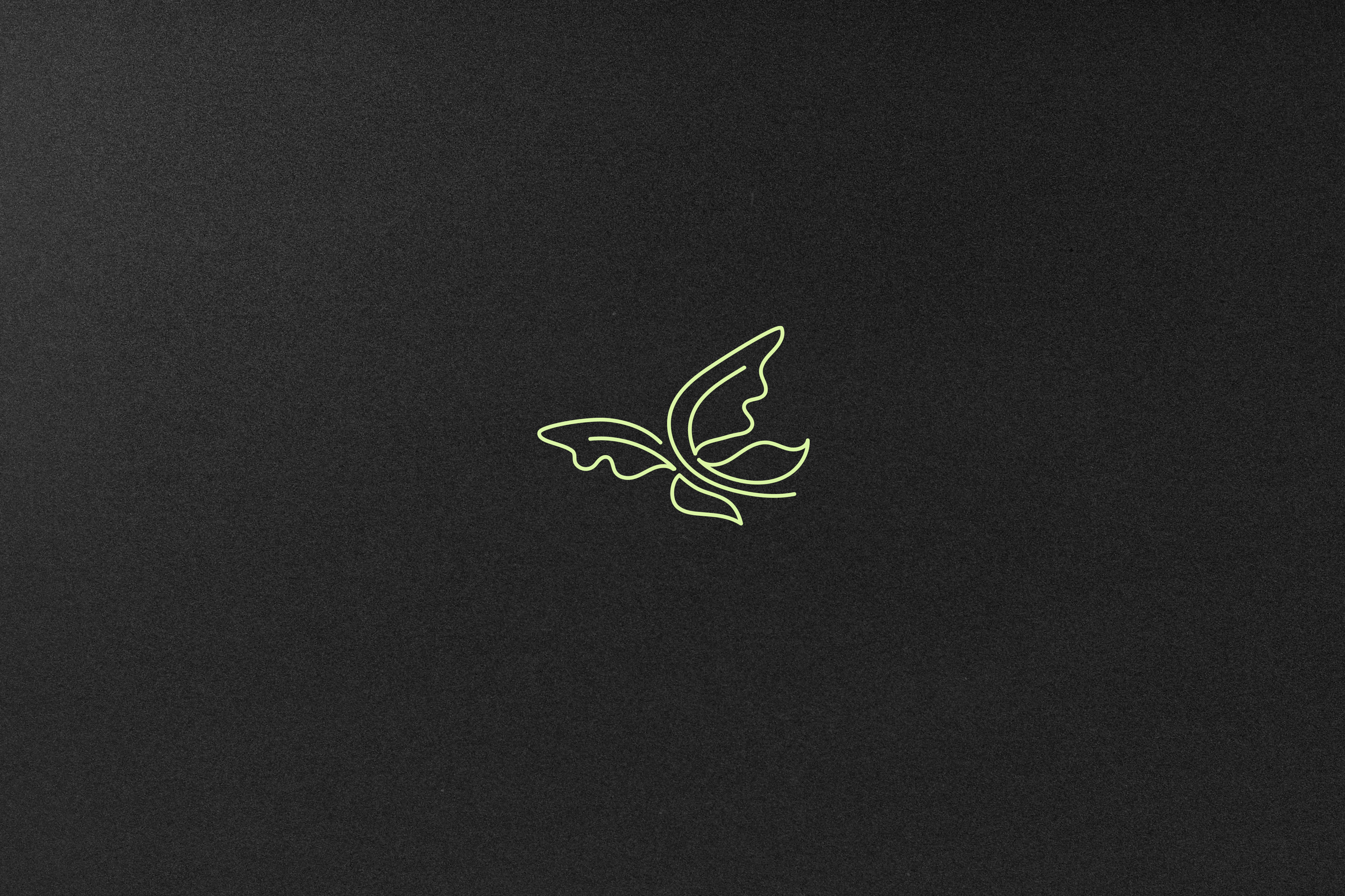 Minimalist Butterfly Logo for Beauty, Wellness & Eco Brands beauty brand logo brandidentity branding butterfly logo eco brand logo life coach brand logo line art line art logo logo logodesign logotype minimal minimalist modern logo professional logo skincare logo spa logo sustainable brand logo visual identity wellneww logo