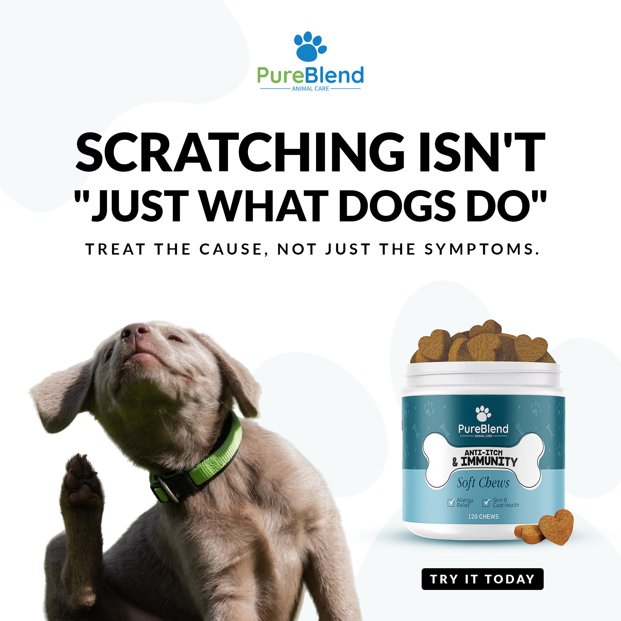 Meta Ad Creatives ad design advertisement advertising brand identity branding clean design design dog product facebook graphic design health wellness marketing meta modern design pet branding pet care poster design product marketing social media social media design