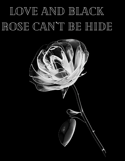 Love and black rose can`t be hide 3d animation beautiful rose black rose branding flower graphic design logo motion graphics nice rose red rose ui white rose