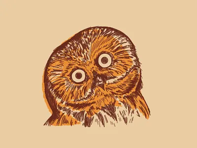 Northern saw-whet owl adobe bird eyes hand drawn illustration illustrator monochromatic owl sketch sketchbook