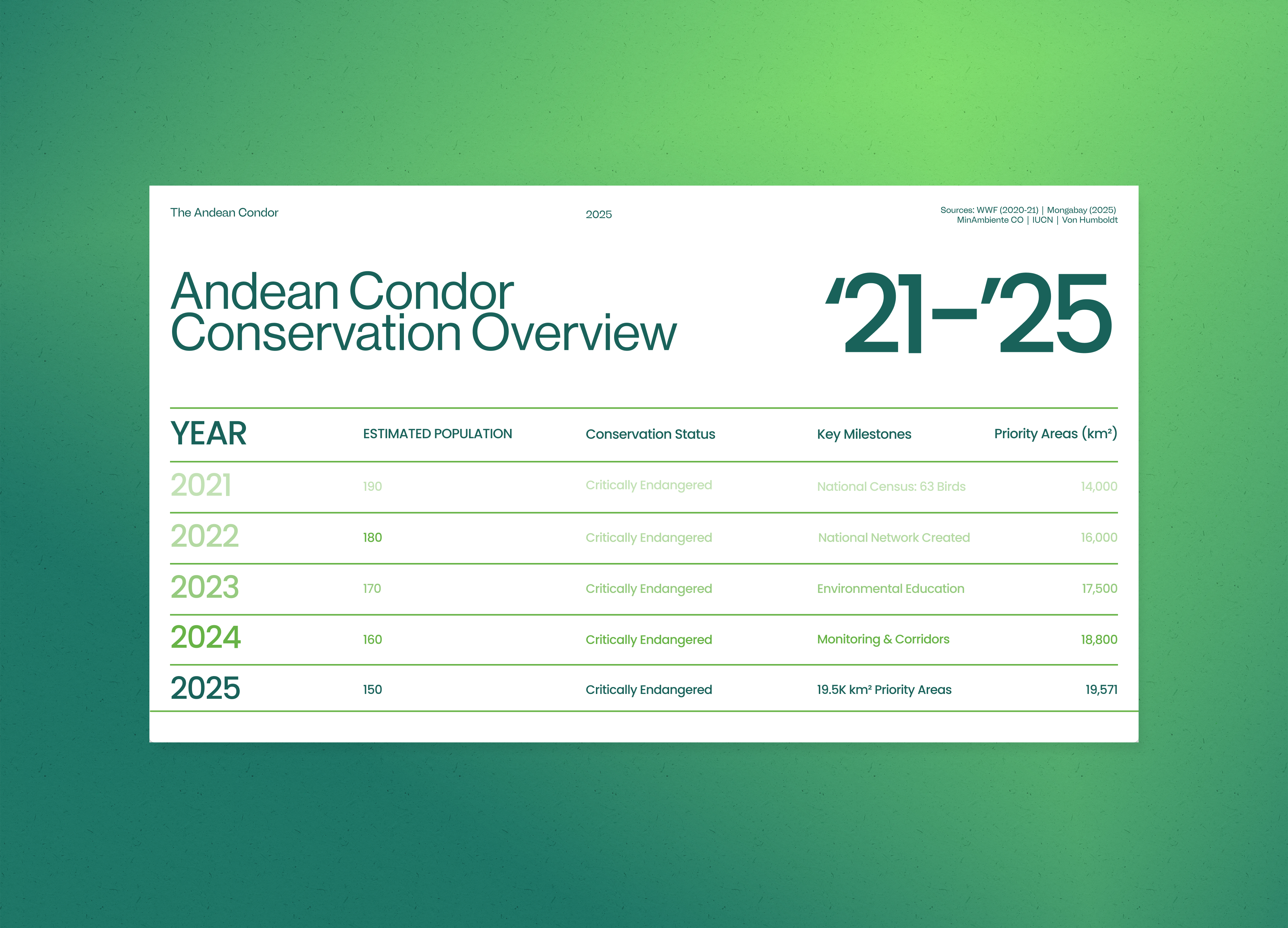 Conservation Report – Condor UI andean condor data visualization design editorial figma gradient graphic design green photoshop pitch pitchdeck presentation research ui