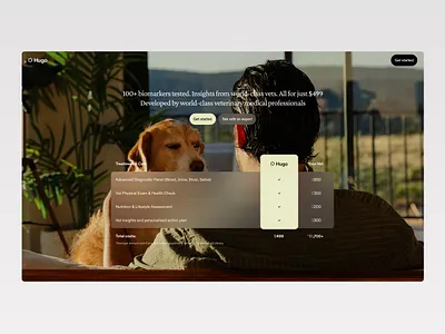 Pet Health Web Design 3d animation branding graphic design logo motion graphics ui