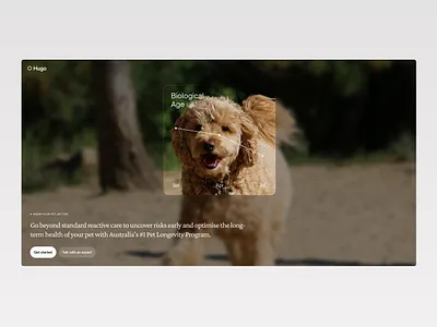 Pet Health Web Design 3d animation branding design graphic design illustration logo motion graphics product design ui user experience user interface ux
