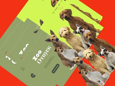 Concept Zoo vacation design graphic design