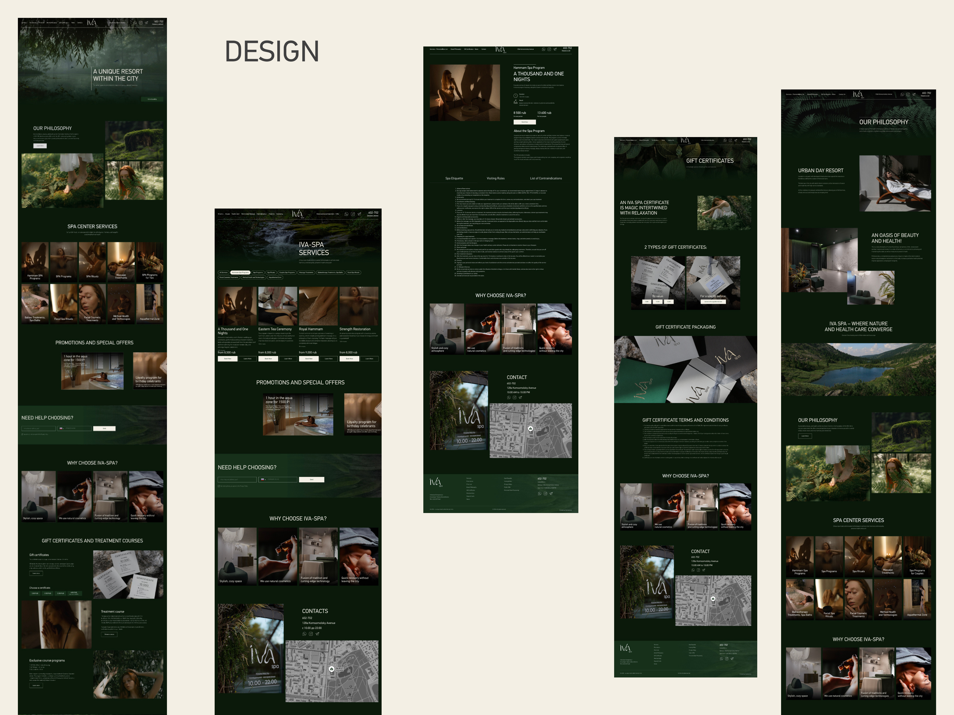 Example of Development Of A Multi Page Website