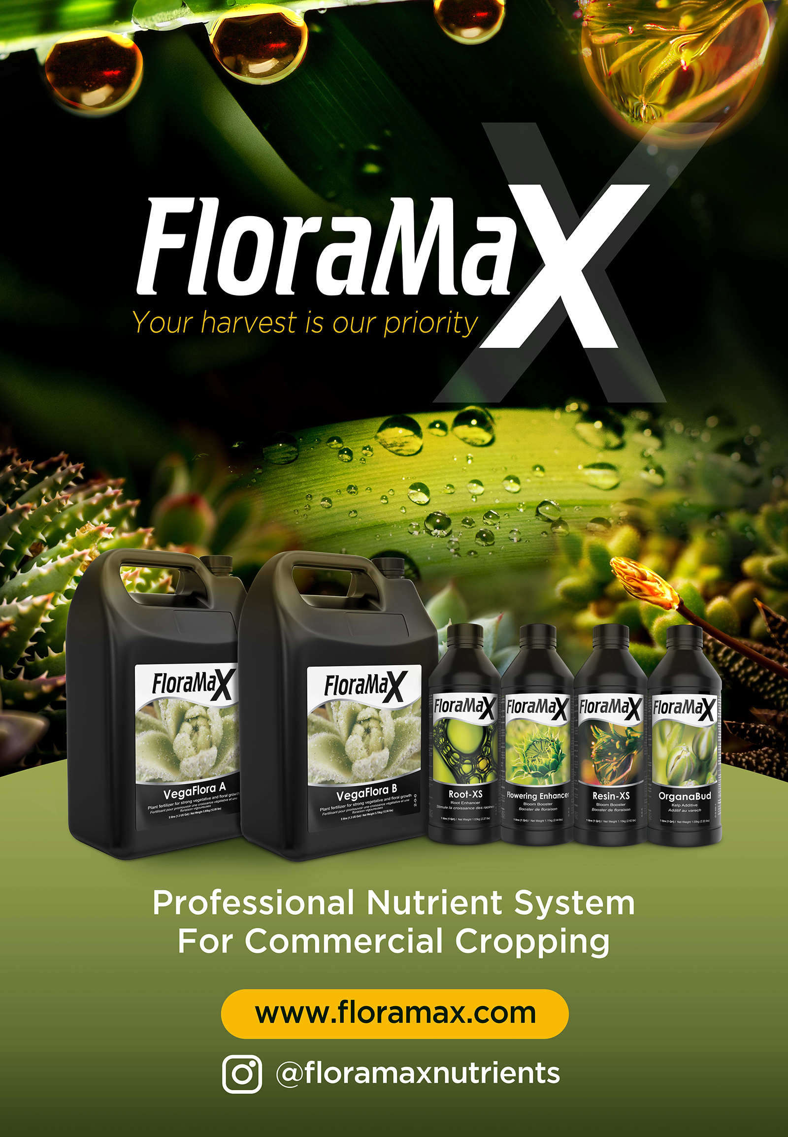 Banner Design 3d 3d mockup 3d rendering banner design branding design graphic design icon illustration label design packaging design photo collage photoshop trade show design vector