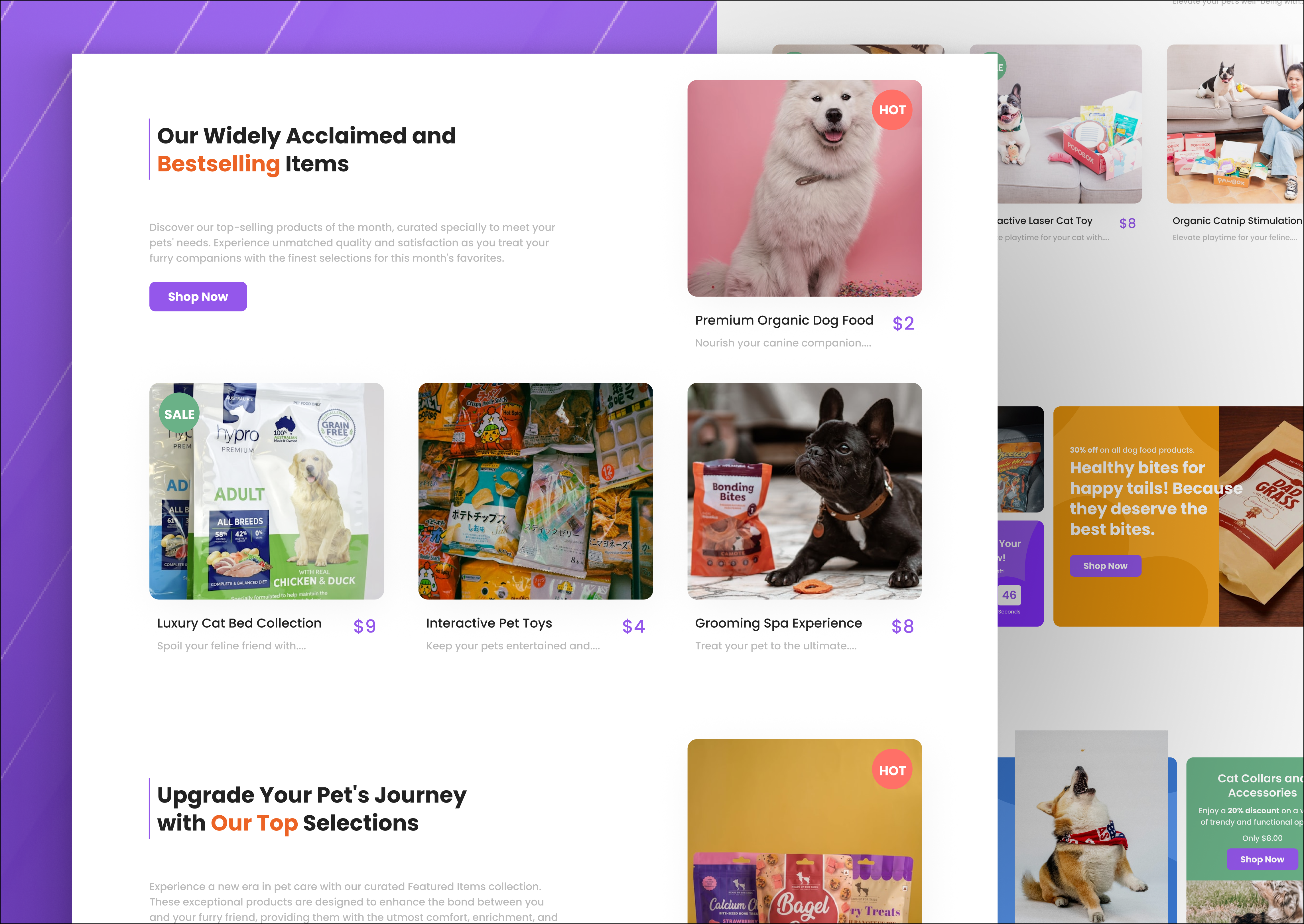 Example of Playful Pet Shop Website Design