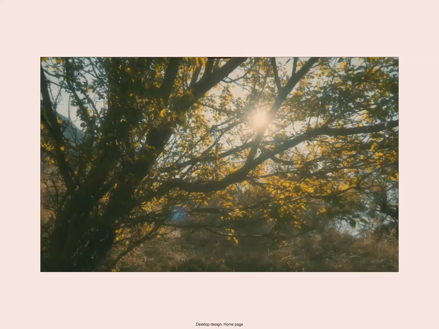 Example of Custom Webflow Sites. Design & Build.