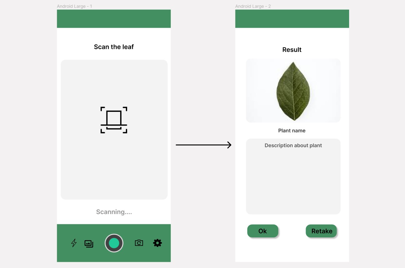 Leaf Identification app by Prerana Ganvatkar on Dribbble