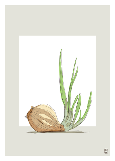 Onion avocado book illustration botanical concept decore digital art digital drawing drawing editorial fauna flora illustration plants