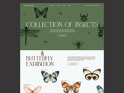 Landing page about an insect exhibition for a zoological museum butterflies butterfly collection design exhibition font gently green insects landing page logo museum soft ui ui design web design white zoo zoological