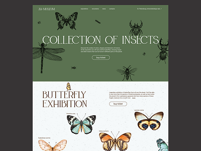 Landing page about an insect exhibition for a zoological museum butterflies butterfly collection design exhibition font gently green insects landing page logo museum soft ui ui design web design white zoo zoological