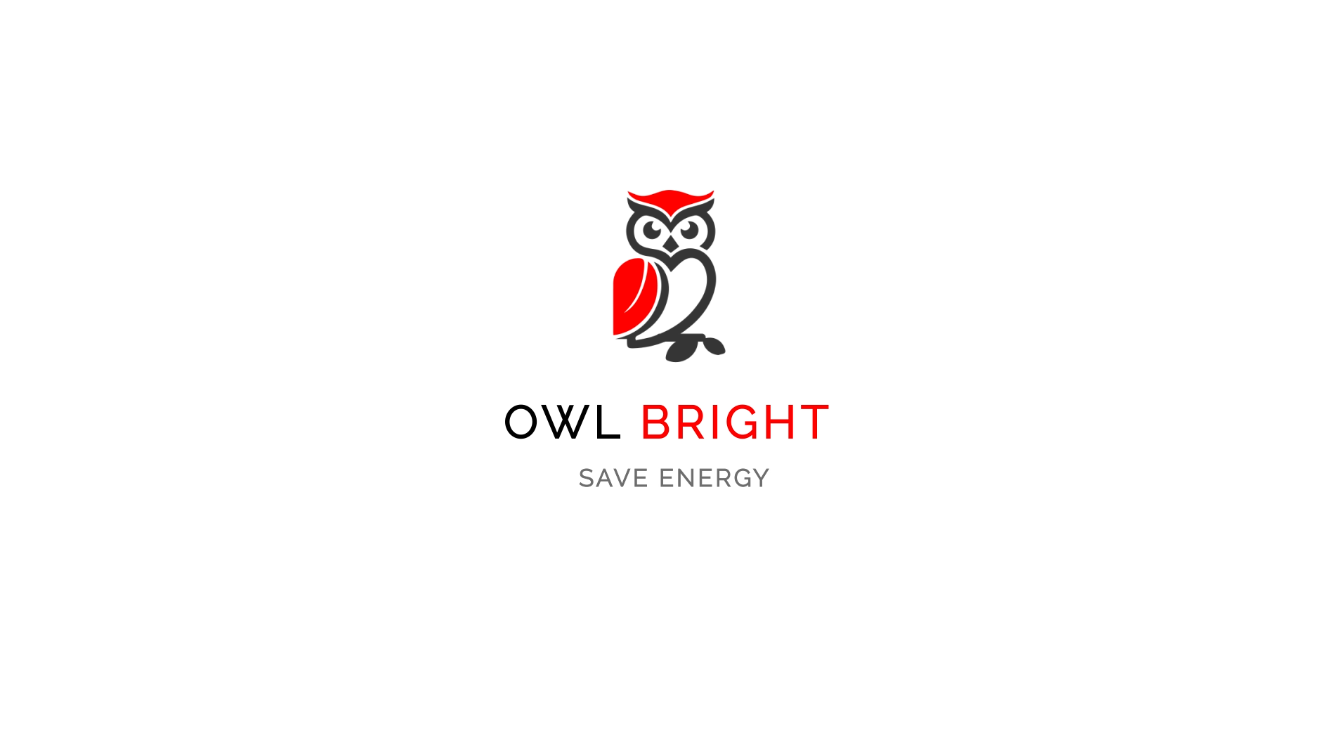OWL Bright – Power & Lighting Logo Design Animation after effects app branding concept creative logo electrical electrical logo electronics graphic design illustrations logo logo animation logo design logodesign minimal logo modern logo power and lighting professional branding ui vector design