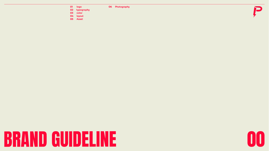 brand guideline logo section branding logo