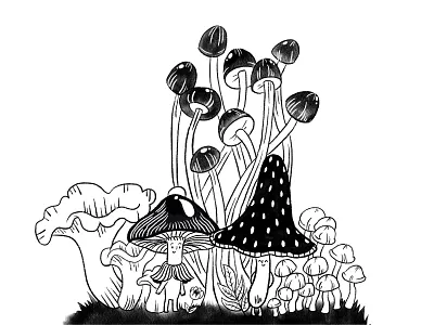 Mushroom editorial design animation character characterdesign childrensbookillustration comic design illustration
