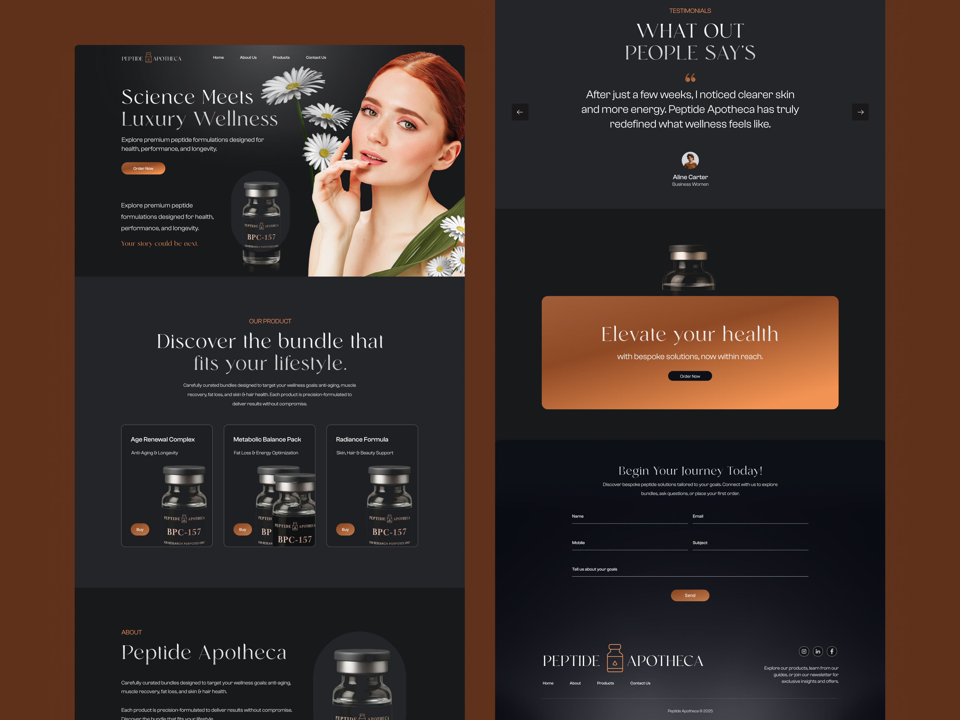 Example of Website Design (5 Pages)