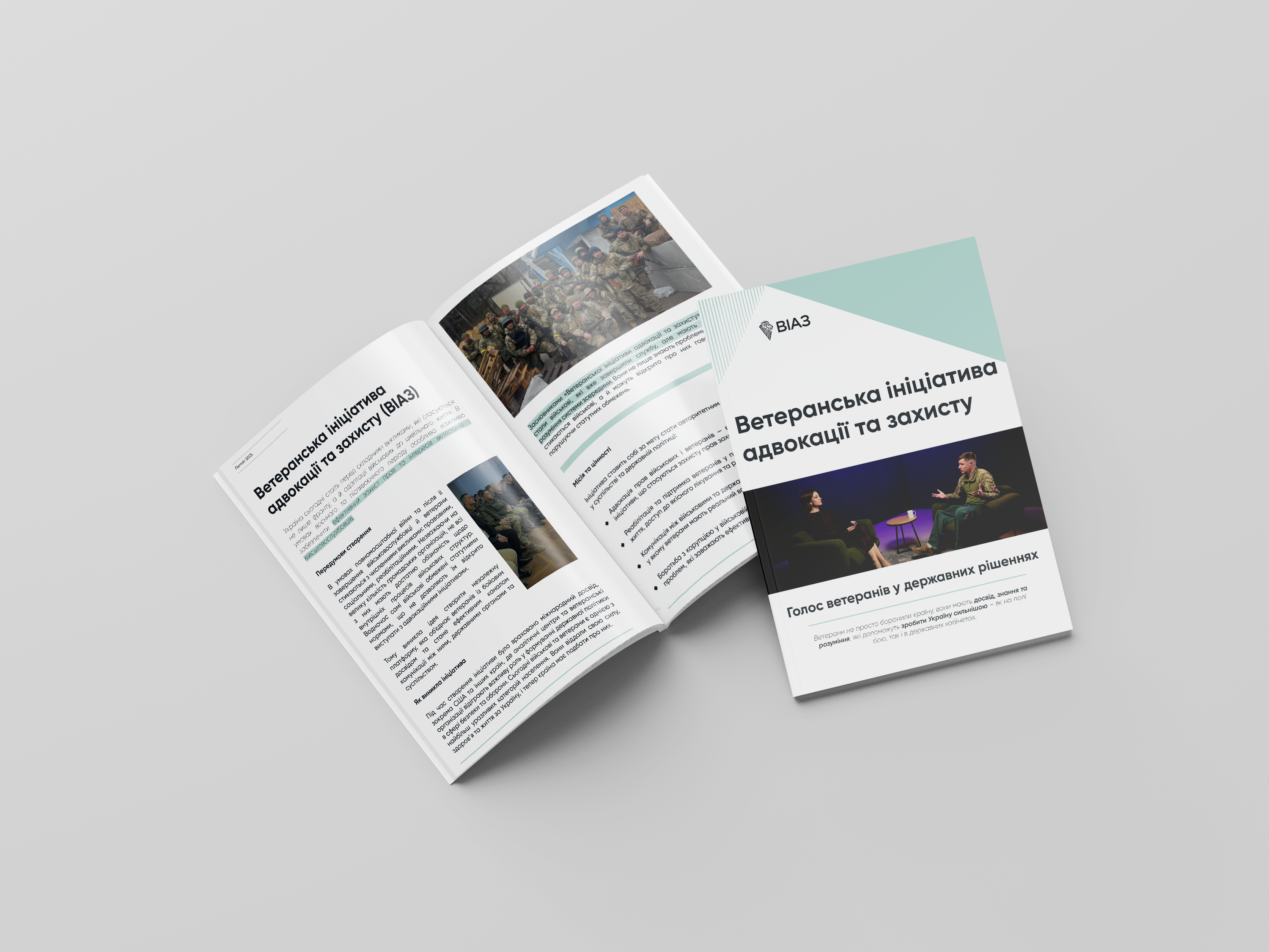 Brand Identity: Veterans’ Initiative for Advocacy & Protection advocacy brand identity branding color palette concept design design system graphic design logo design minimal design modern design nonprofit project work real client project social impact soft shapes typography veterans visual identity